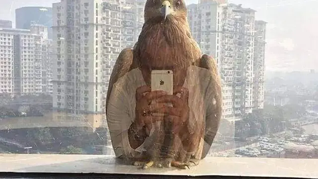 Foto Hewan Unik