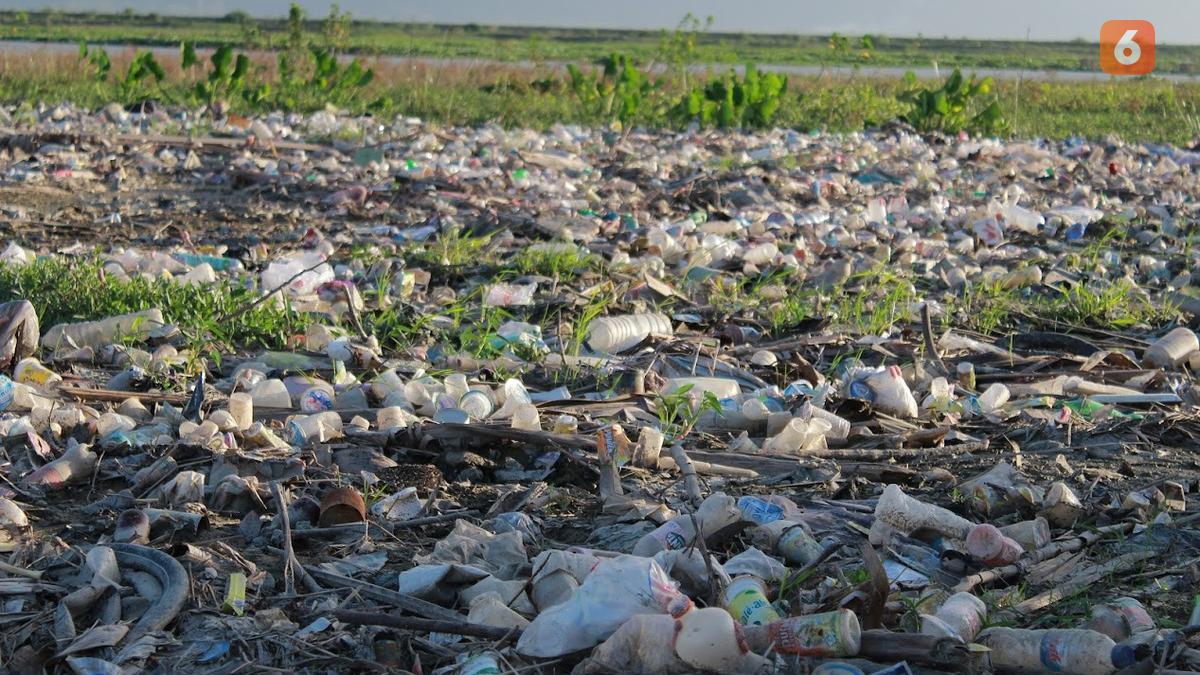 Hamparan Sampah Plastik dari Rumah Tangga Cemari Danau Limboto