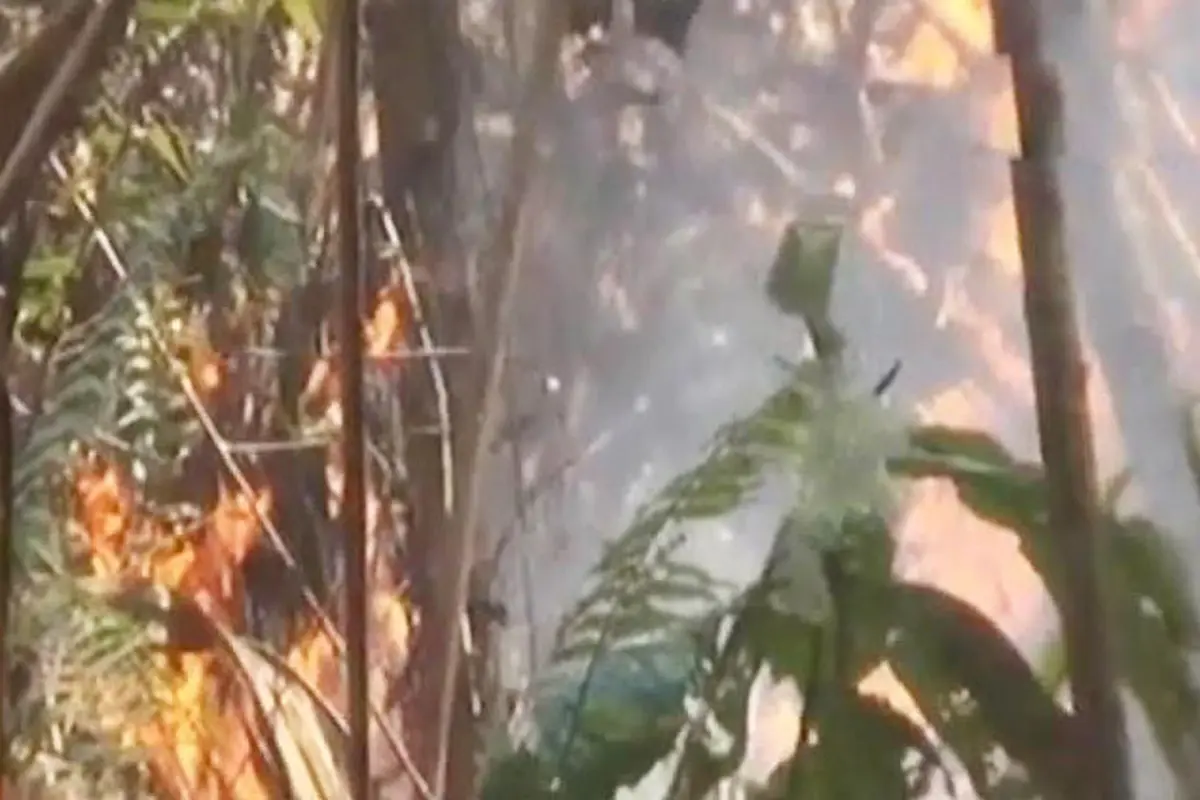 20151015-Hutan Terbakar-Kaltim