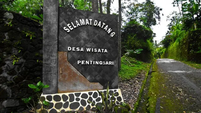 Tak sulit untuk menjelaskan mengapa ratusan orang datang ke Desa Wisata Pentingsari  yang berada di ketinggian yang berhawa sejuk itu.