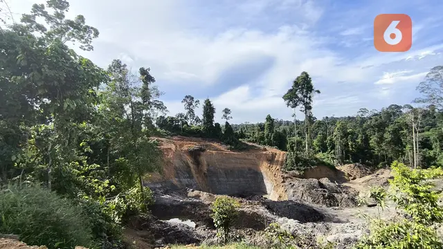 Tambang Batu Bara Ilegal