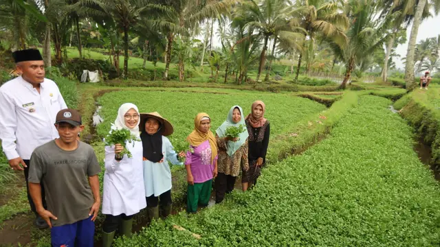 Bupati Ipuk Ngantor di Desa Bumiharjo, Petik Alpukat Aligator dan Gali Potensi Pertanian