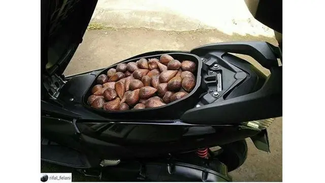 Jok motor diisi barang-barang nyeleneh (Ist)