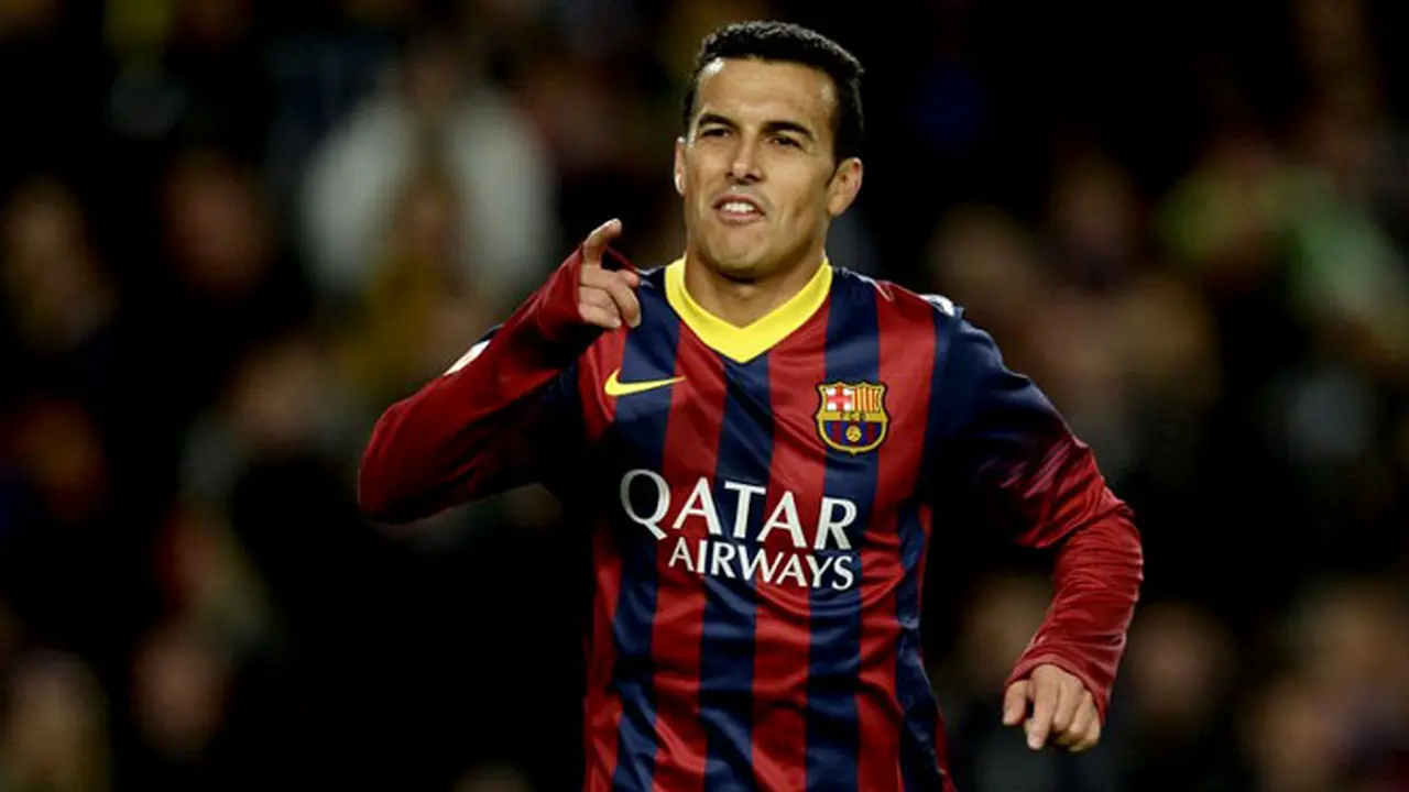 pedro-131204b.jpg