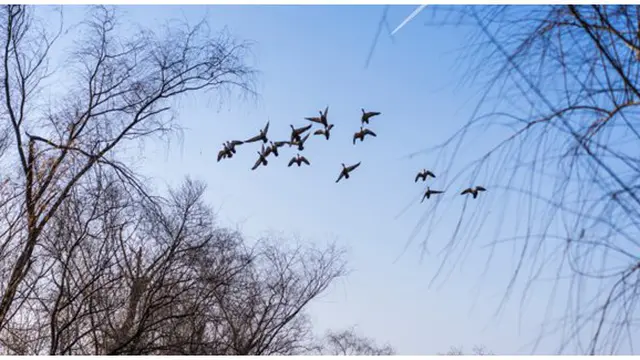 Foto : copyright thinkstockphotos.com