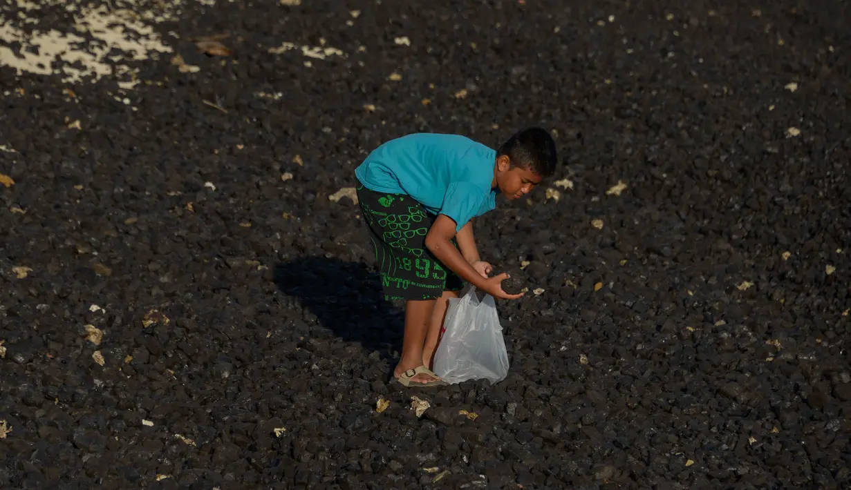 Seorang anak mengambil bongkahan batu bara dari sebuah tongkang yang mencemari pantai Lhoknga di Aceh, Rabu (1/8). Sekitar 7.000 ton batu bara tumpah dari kapal tongkang yang kandas dihantam gelombang sehingga mencemari pantai. (AFP/CHAIDEER MAHYUDDIN)