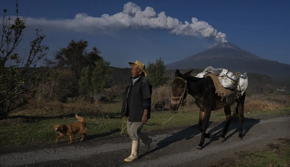 <p>Terjadinya aktivitas vulkanik yang lebih besar dan penyebaran abu ke beberapa kota terdekat dengan kecepatan tinggi. Mereka karena itu juga merekomendasikan agar warga sekitar menghindari aktivitas di luar ruangan. (AP Photo/Marco Ugarte)</p>