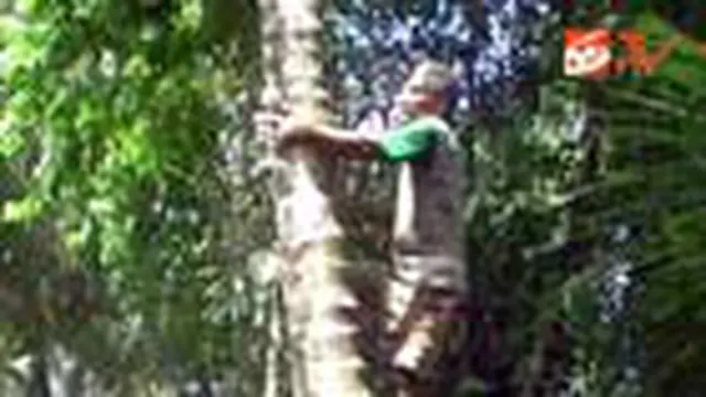 Supriyanto, Tunanetra Pemanjat Pohon Kelapa