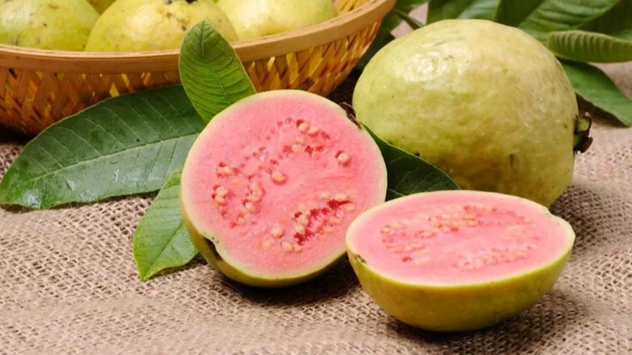 Buah Jambu Biji (Sumber: Liputan6.com)