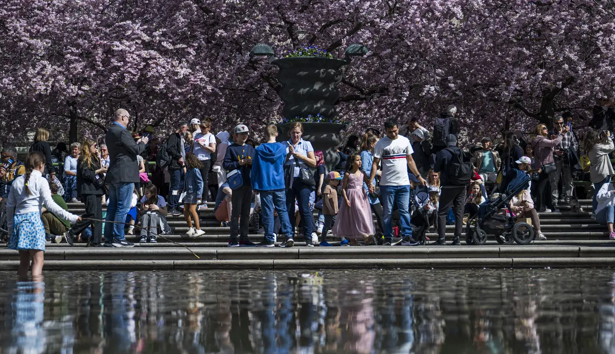 Orang-orang bisa menikmatinya sambil duduk-duduk di kursi yang disediakan di area taman, atau di atas rumput bersih yang disinari matahari. (Jonathan NACKSTRAND / AFP)
