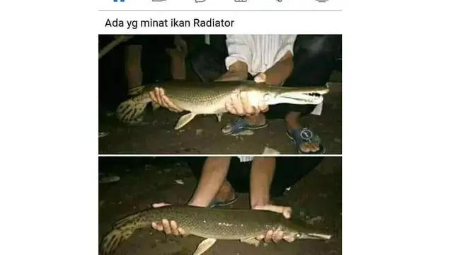 6 Status Facebook Bapak-Bapak Jualan Ini Absurd, Barang yang Ditawarkan Kocak