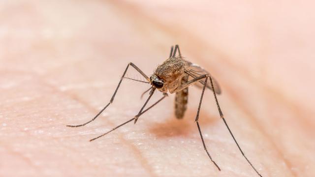 Penyakit Tidak Menular