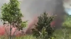Kebakaran lahan sebabkan kabut asap di Sumatera Selatan