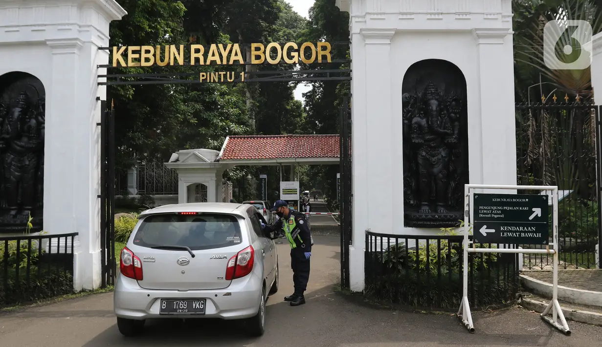 Petugas keamanan memeriksa pengunjung di Kebun Raya Bogor, Jawa Barat, Selasa (7/7/2020). Kebun Raya Bogor menerapkan pemesanan tiket secara daring serta kapasitas pengunjung dibatasi hanya 50 persen. (Liputan6.com/Herman Zakharia)