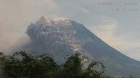 Kepulan asap Solfatara dari awan panas gunung Merapi pagi ini, Minggu (12/3/2023). Foto: liputan6.com/Edhie Prayitno Ige&nbsp;