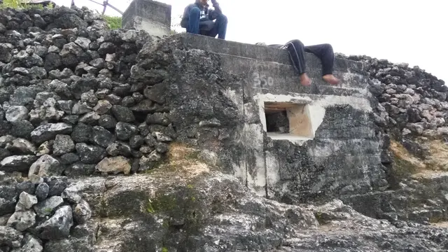 Suroocolo