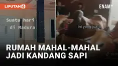 Nyeleneh, Rumah Mewah Dijadiin Kandang Sapi