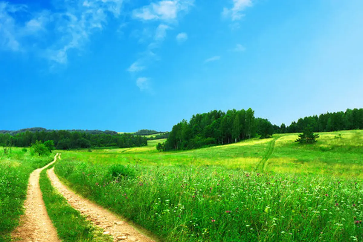 Courtesy HDWallpapers