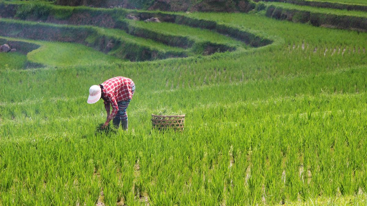 Mantap, Perusahaan Indonesia Dipercaya Ikut dalam Transformasi Pertanian Malaysia