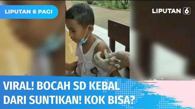 Tak ada suara tangis layaknya vaksinasi anak sebayanya, bahkan jarum suntik pun tak mampu menembus lengan bocah SD ini! Video viral dengan judul ‘Anak Suku Baduy Luar Kebal Suntik’, tersebut ditanggapi Tetua Adat Suku Baduy.