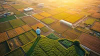 Apa Itu Food Estate: Program Strategis untuk Ketahanan Pangan Nasional