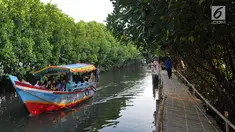 Perahu wisatawan melewati hutan mangrove di Sungai Rindu, Desa Hurip Jaya, Babelan, Bekasi, Jumat (7/6/2019). Berkeliling naik perahu melewati kawasan hutan mangrove di Sungai Rindu ini menjadi daya tarik para wisatawan lokal. (merdeka.com/Arie Basuki)