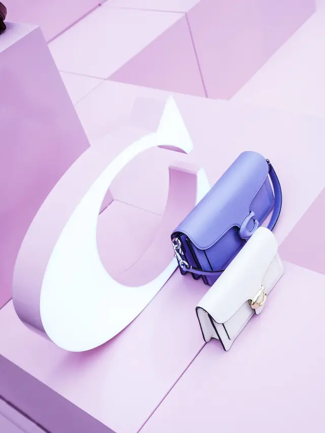 The Coach Tabby Tour