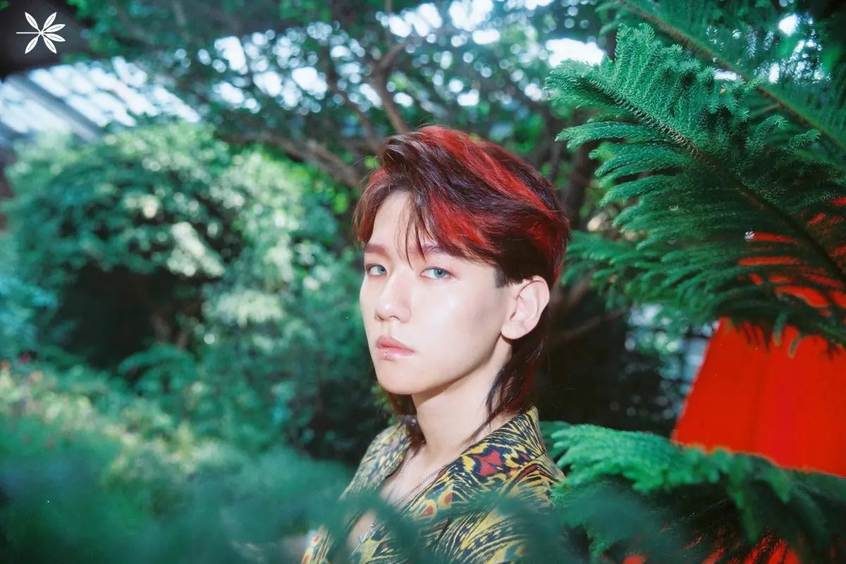 [Bintang] Simak Potret Keren Baekhyun di Teaser Comeback EXO