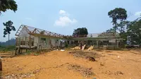 Praktik Tanaman Energi di Jambi: Ugal-ugalan Dahulu, Gagal Kemudian