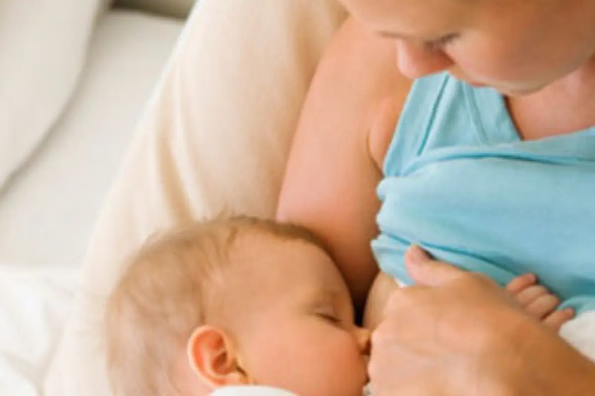Foto: copyright shutterstock.com