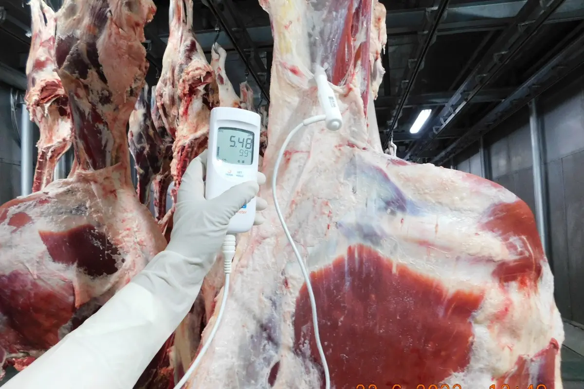 Perum Bulog memastikan, daging kerbau beku yang didatangkan dari India bebas dari Penyakit Mulut dan Kuku (PMK). Dok Bulog