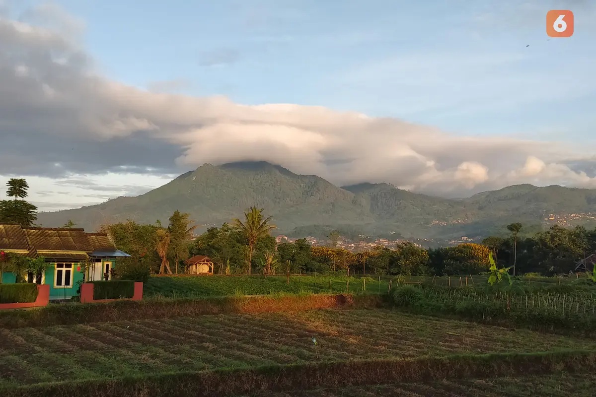 Pemandangan Alam
