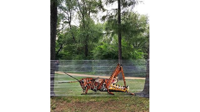 Pria Ini Buat Lukisan Hewan di Atas Plastik, 7 Hasilnya Mengagumkan