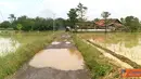 Citizen6, Sumedang: Kondisi jalan bagaikan kolam ikan terlihat banyak sekali genangan air. (Pengirim: Alfa Heryana)