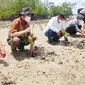 Penanaman bibit mangrove oleh Badan Restorasi Gambut dan Mangrove di Kota Dumai. (Liputan6.com/M Syukur)