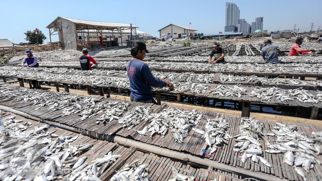 20150803-Musim Kemarau, Produksi Ikan Asin Meningkat -Jakarta