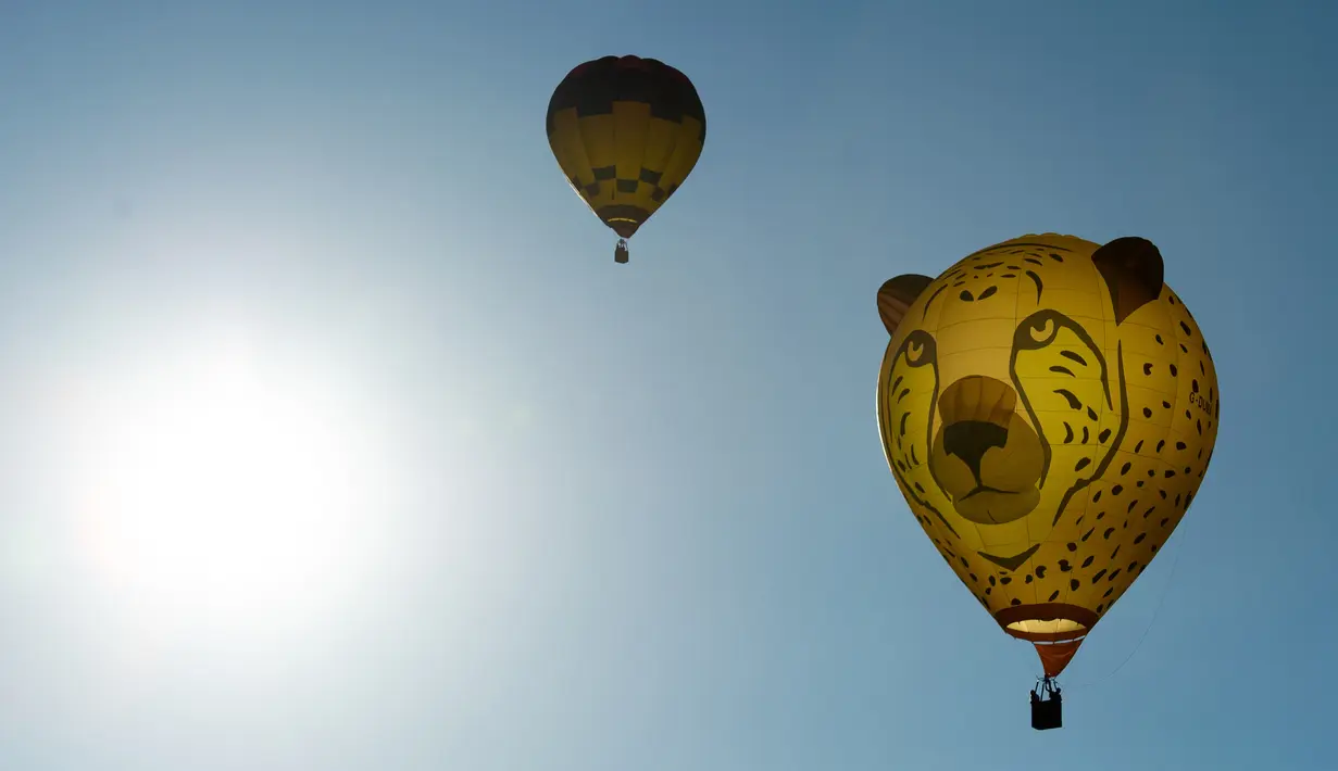 Dua balon udara terbang selama Festival Balon Eropa ke-23 di Igualada, Barcelona (11/7/2019). Festival Balon Eropa adalah yang terbesar di negara tersebut dan salah satu yang terbesar di Eropa. (AFP Photo/Josep Lago)