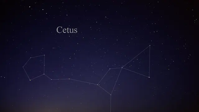 Cetus Zodiac Sign