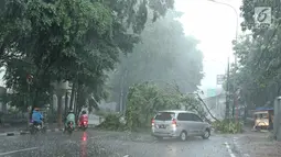 Kendaraan melintasi pohon tumbang yang menghalangi ruas Jalan Proklamasi, Menteng, Jakarta Pusat, Minggu (31/12). Hujan angin melanda Jakarta jelang malam pergantian tahun hingga membuat beberapa pohon bertumbangan. (Liputan6.com/Herman Zakharia)