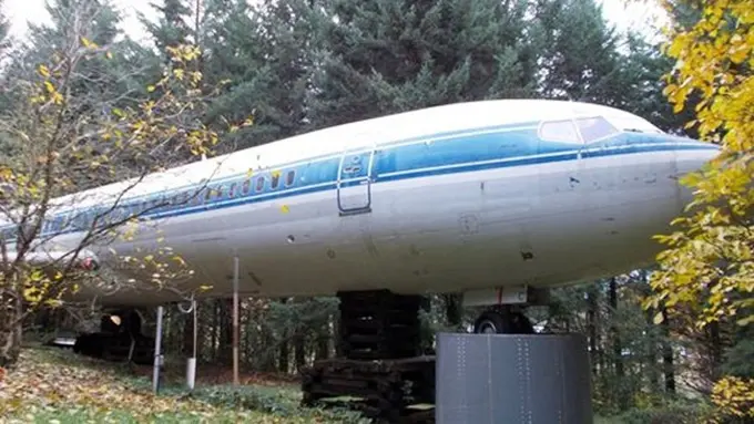 Photo: Copyright mirror.co.uk