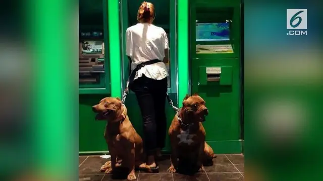 Perempuan-perempuan ini punya cara unik mencegah kejahatan saat mengambil uang di ATM. Mereka membawa anjing penjaga ke ATM.