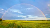 30 Quotes About Rainbows That Will Make Your Day More Colorful