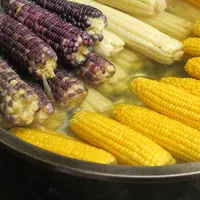 Ilustrasi Jagung (Source: Pixabay/Focusonpc)