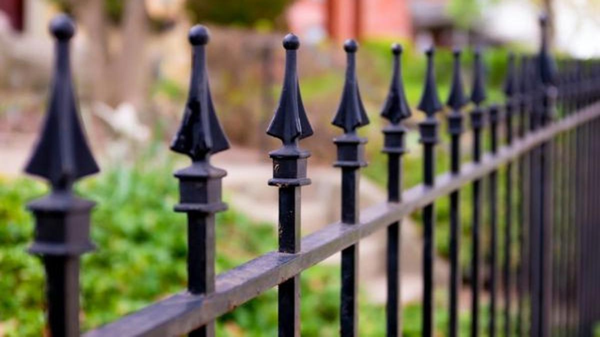 10 Jenis Buah Rambat yang Cocok di Pagar Besi, Bikin Rumah Lebih Asri