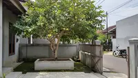 12 Pohon Buah yang Tetap Berbuah Saat Kemarau, Cocok untuk Pekarangan Rumah
