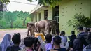 Di Kebun Binatang Surabaya (KBS), pengunjung yang rata-rata keluarga bersama anak-anak dapat bermain sekaligus belajar bersama satwa. Tampak dalam foto, pengunjung menyaksikan gajah di Kebun Binatang Surabaya, Jawa Timur, selama libur sekolah sekaligus jelang Natal dan Tahun Baru pada Minggu 21 Desember 2025. (JUNI KRISWANTO/AFP)