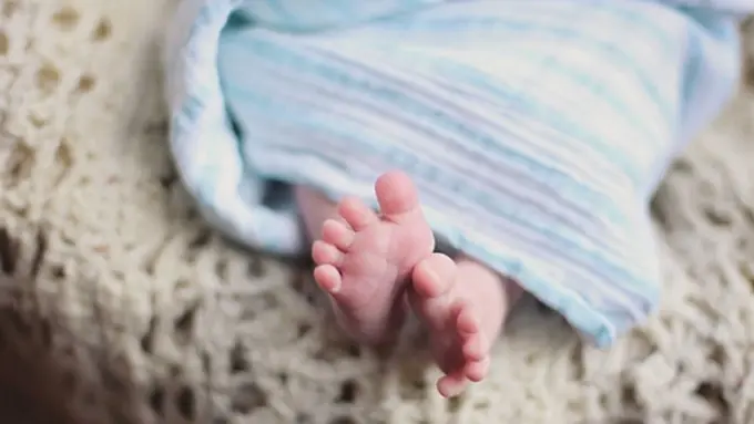 Ilustrasi. | Foto: copyright pexels.com