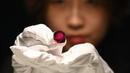 Salah satu spesialis di departemen perhiasan Sotheby’s Hong Kong, Uni Kim mengatakan, batu merah itu bakal menjadi rubi termahal yang pernah dijual di lelang. (Photo by Peter PARKS / AFP)
