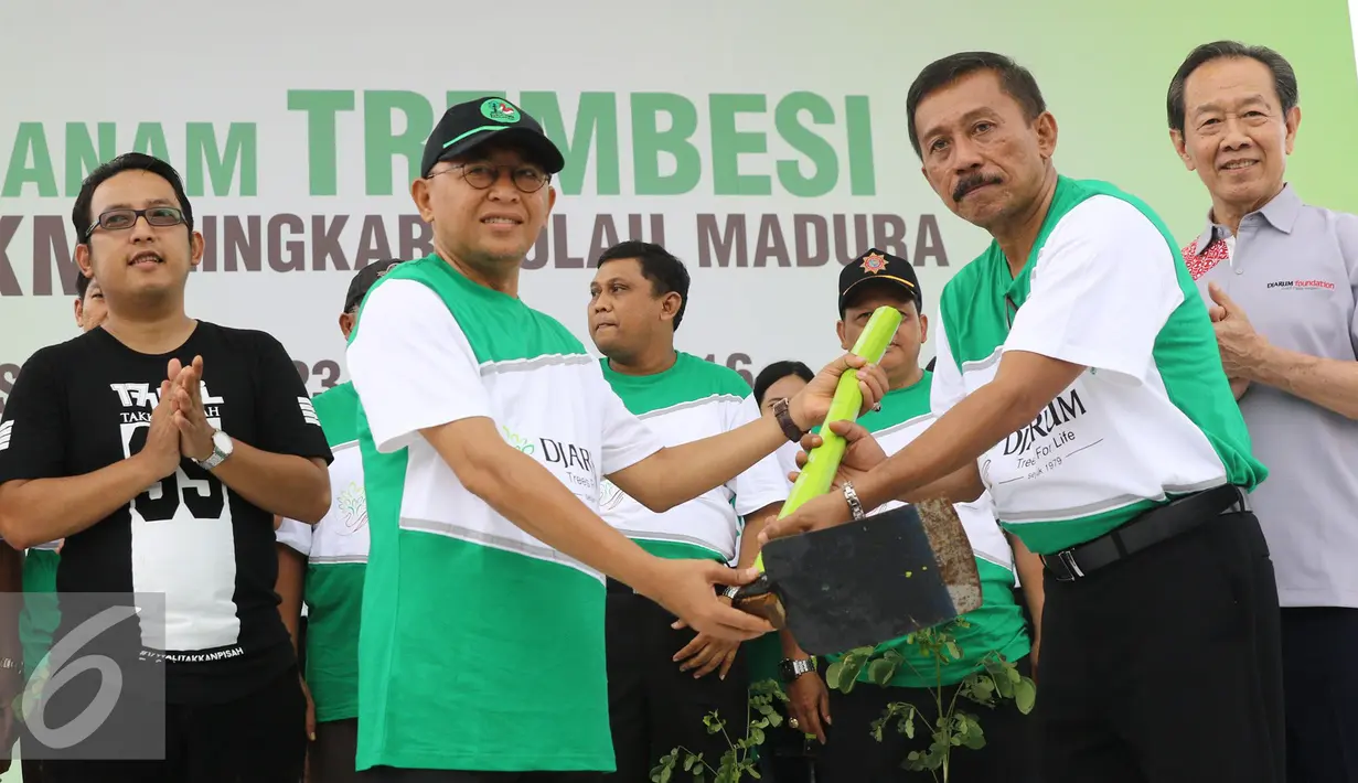 Bupati Sumenep, Busysro Karim  secara simbolis memberi pohon trembesi kepada camat Sumenep pada saat penanaman trembesi 296 km lingkar pulau Madura, Sumenep, Jawa Timur, Rabu (23/11).(Liputan6.com/Herman Zakharia)