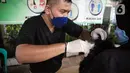 Paramedis Puskeswan DKP3 Jakarta Selatan menyuntikkan vaksin antirabies kepada kucing saat vaksinasi secara gratis di kawasan Tebet, Jakarta, Selasa (16/11/2021). Vaksinasi dilakukan untuk menghindari dan mengantisipasi penyebaran penyakit rabies kepada hewan peliharaan. (Liputan6.com/Faizal Fanani)
